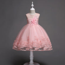Load image into Gallery viewer, First Communion Flower Girl Dress - Mandotos Lace Trim Tulle Bead Embroidery