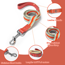 Load image into Gallery viewer, Adjustable Dog Collar and Leash Set - Perfect Fit for All Breeds