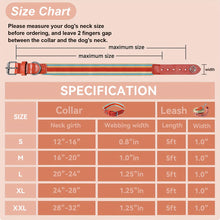 Load image into Gallery viewer, Adjustable Dog Collar and Leash Set - Perfect Fit for All Breeds