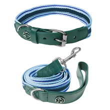 Load image into Gallery viewer, Adjustable Dog Collar and Leash Set - Perfect Fit for All Breeds