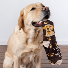 Load image into Gallery viewer, I Love My Yellow Lab