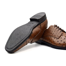 Load image into Gallery viewer, 23-538-BDY ANDREA Ostrich Quill Lace Up, Brandy