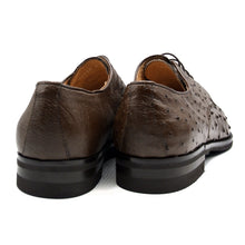 Load image into Gallery viewer, 23-538-BRN ANDREA Ostrich Quill Lace Up, Brown