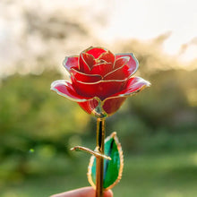 Load image into Gallery viewer, 24K Gold Plated Rose Gift