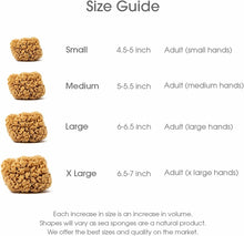 Load image into Gallery viewer, Naroa Shower Sponge — Natural Exfoliation for Healthy, Radiant Skin