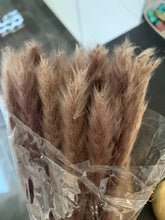 Load image into Gallery viewer, 30/50pcs Bulrush Natural Dried Small Pampas Grass Artificial Decor Wedding Flower Bunch Home Office Floor Vase Filler for Living Room Kitchen And Event Decoration