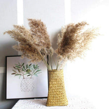 Load image into Gallery viewer, 30/50pcs Bulrush Natural Dried Small Pampas Grass Artificial Decor Wedding Flower Bunch Home Office Floor Vase Filler for Living Room Kitchen And Event Decoration