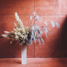 Load image into Gallery viewer, 30/50pcs Bulrush Natural Dried Small Pampas Grass Artificial Decor Wedding Flower Bunch Home Office Floor Vase Filler for Living Room Kitchen And Event Decoration