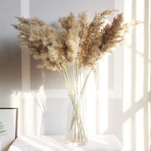 Load image into Gallery viewer, 30/50pcs Bulrush Natural Dried Small Pampas Grass Artificial Decor Wedding Flower Bunch Home Office Floor Vase Filler for Living Room Kitchen And Event Decoration