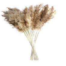 Load image into Gallery viewer, 30/50pcs Bulrush Natural Dried Small Pampas Grass Artificial Decor Wedding Flower Bunch Home Office Floor Vase Filler for Living Room Kitchen And Event Decoration