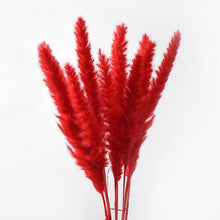 Load image into Gallery viewer, 30Pcs Dried Bulrush Flowers Bouquet Home Wedding Decoration Table Flores Preservadas Pampas Grass Natural Reed Decor for Room