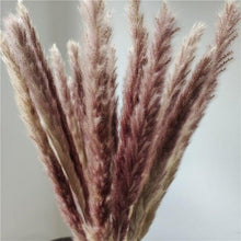 Load image into Gallery viewer, 30Pcs Dried Bulrush Flowers Bouquet Home Wedding Decoration Table Flores Preservadas Pampas Grass Natural Reed Decor for Room