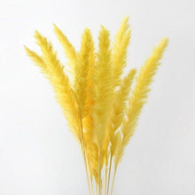 Load image into Gallery viewer, 30Pcs Dried Bulrush Flowers Bouquet Home Wedding Decoration Table Flores Preservadas Pampas Grass Natural Reed Decor for Room