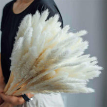 Load image into Gallery viewer, 30Pcs Dried Bulrush Flowers Bouquet Home Wedding Decoration Table Flores Preservadas Pampas Grass Natural Reed Decor for Room