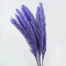 Load image into Gallery viewer, 30Pcs Dried Bulrush Flowers Bouquet Home Wedding Decoration Table Flores Preservadas Pampas Grass Natural Reed Decor for Room
