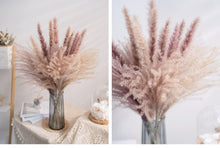 Load image into Gallery viewer, 30pcs Natural Dried Pampas Grass Bouquet Pampas Grass Reeds Flowers Bulrush Bouquets Durable For for Vase Artificial Grass Room Décor Wedding Decorations