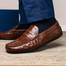 Load image into Gallery viewer, 33-100-BRN MONZA Ostrich Quill Driver, Brown