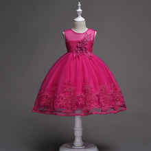 Load image into Gallery viewer, First Communion Flower Girl Dress - Mandotos Lace Trim Tulle Bead Embroidery
