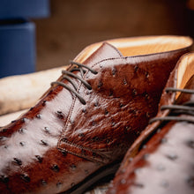 Load image into Gallery viewer, 43-594-BRN MARCO Ostrich Quill Chukka Boot, Brown