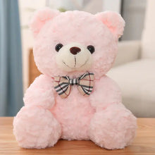 Load image into Gallery viewer, Cute Cartoon Little Teddy Bear Plush Toys - # BOT&G512610004
