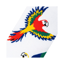 Load image into Gallery viewer, Parrots