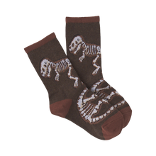 Load image into Gallery viewer, Dino Bones