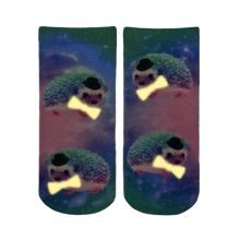 Load image into Gallery viewer, Hedgehog Glow