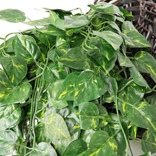 Load image into Gallery viewer, 90cm Artificial Green Hanging Ivy Leaves Radish Seaweed Grape Fake Flowers Vine Home Garden Wall Party Decoration Fake Hanging Fake Ivy Vine for Wall House Room Indoor Outdoor Decoration