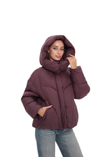 Load image into Gallery viewer, Insulated Bio-Down Jacket in Fig