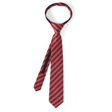 Load image into Gallery viewer, Disney Pixar Cars McQueen Red Boys' Zipper Tie