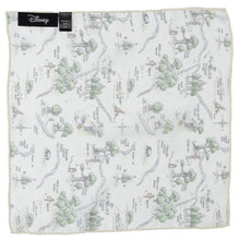 Load image into Gallery viewer, Disney Winnie the Pooh Map Pocket Square