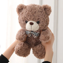 Load image into Gallery viewer, Cute Cartoon Little Teddy Bear Plush Toys - # BOT&G512610004