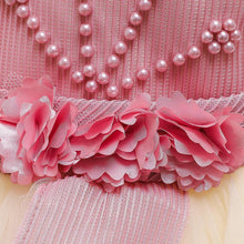 Load image into Gallery viewer, New Baby Girl Net Puffy Princess Party Dress Clothes Luxury Unique Design Perfect Gift