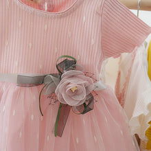 Load image into Gallery viewer, Modern Luxury elegant Newborn Baby Girl Dress for New Fashion Cute Princess Baby Dress Infant Clothing