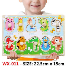 Load image into Gallery viewer, New Hand Grab Board Wooden Puzzle Toys for Children Cartoon Animal Fruit Kids Baby Early Educational Learning Toy