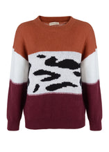 Load image into Gallery viewer, Color Block Animal Print Sweater