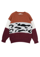 Load image into Gallery viewer, Color Block Animal Print Sweater