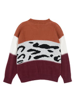 Load image into Gallery viewer, Color Block Animal Print Sweater