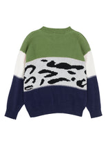 Load image into Gallery viewer, Color Block Animal Print Sweater