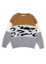 Load image into Gallery viewer, Color Block Animal Print Sweater