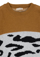 Load image into Gallery viewer, Color Block Animal Print Sweater