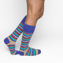 Load image into Gallery viewer, Spectrum Stripes Dress Sock Bundle