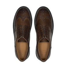 Load image into Gallery viewer, Men's Don Giovanni Wingtips - Brown