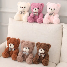 Load image into Gallery viewer, Cute Cartoon Little Teddy Bear Plush Toys - # BOT&G512610004