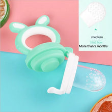 Load image into Gallery viewer, Baby Fruit Feeder Pacifier - # BAGE61310009