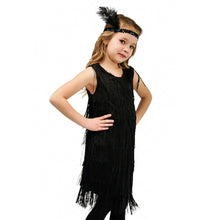 Load image into Gallery viewer, Girl Party Dress Girls Flapper Dress Carnival Sequins Fringe Latin Dance Dress Tassel Tango Dress Ballroom Costume With Feather