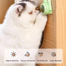 Load image into Gallery viewer, Ball Cat Toy Pasted Lollipop Gatos Mint On The Wall Pet Ball Snack Good Cat Accessories Cat Toy with Light and Self-Rotating Ball Kitten Gift Edible Cat Lick Toy Cat Chew Toy Teeth Cleaning Cat Bite Toy Rotating Cat Toy