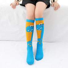 Load image into Gallery viewer, Colorful Embroidered Knee High Socks for Girls
