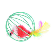 Load image into Gallery viewer, 1 Pcs Cat Toy Stick Feather Wand with Bell Mouse Cage Toys Plastic Artificial Colorful Cat Teaser Toy Pet Supplies Random Color Hollow Balls with Feather Tail Kitten Chase Pounce Toy Cat Feather Toy