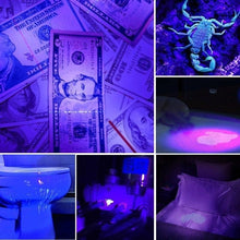 Load image into Gallery viewer, Adjustable Rechargeable UV Flashlight Black Light 21LED 12LED Handheld Portable Torch Light Ultraviolet Flashlight Detector Flashlight Torch For Bed Bug Dog Urine Pet Stains Matching With Pet Odor Eliminator